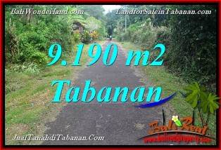 Affordable PROPERTY 9,190 m2 LAND IN Tabanan Selemadeg Timur FOR SALE TJTB368