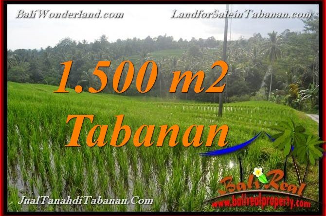 FOR SALE Magnificent LAND IN TABANAN TJTB375
