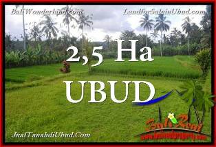 Affordable 25,000 m2 LAND IN UBUD BALI FOR SALE TJUB655