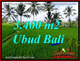 Exotic 3,400 m2 LAND IN UBUD FOR SALE TJUB656