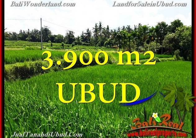 FOR SALE LAND IN Ubud Pejeng TJUB658