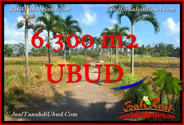 Beautiful 6,300 m2 LAND IN UBUD BALI FOR SALE TJUB662