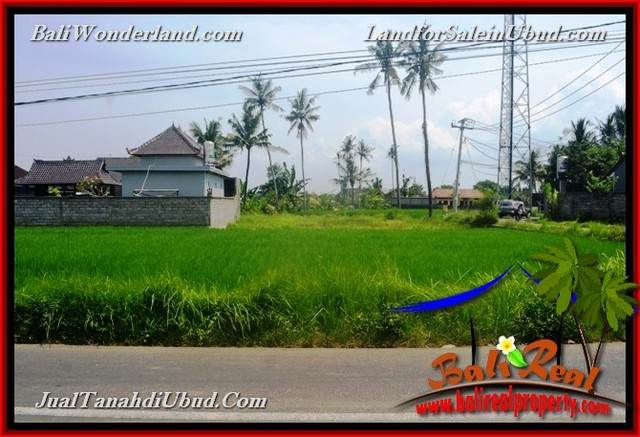 Magnificent LAND FOR SALE IN UBUD TJUB650