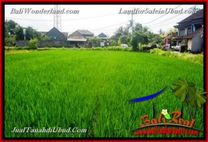 Magnificent LAND FOR SALE IN UBUD TJUB650