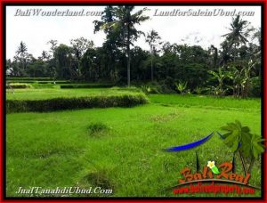 FOR SALE Exotic PROPERTY LAND IN UBUD TJUB657