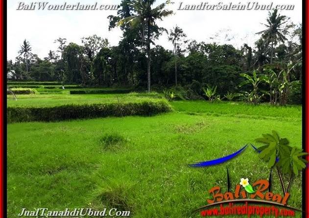 FOR SALE Exotic PROPERTY LAND IN UBUD TJUB657