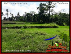 FOR SALE Exotic PROPERTY LAND IN UBUD TJUB657