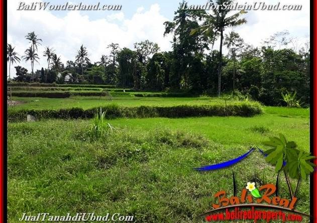 FOR SALE Exotic PROPERTY LAND IN UBUD TJUB657