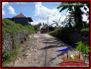 FOR SALE Exotic PROPERTY LAND IN UBUD TJUB657