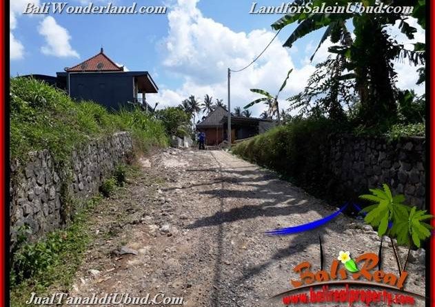 FOR SALE Exotic PROPERTY LAND IN UBUD TJUB657