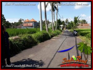 Beautiful UBUD BALI 3,900 m2 LAND FOR SALE TJUB658