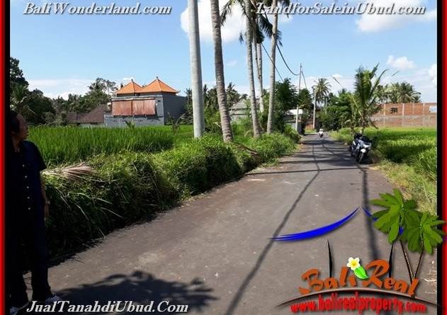 Beautiful UBUD BALI 3,900 m2 LAND FOR SALE TJUB658