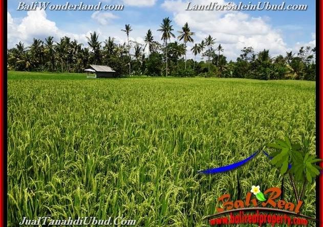 Beautiful UBUD BALI 3,900 m2 LAND FOR SALE TJUB658