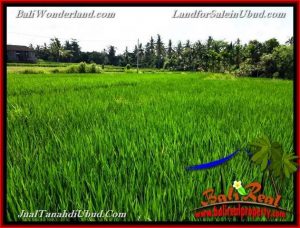 Beautiful UBUD BALI 3,900 m2 LAND FOR SALE TJUB658