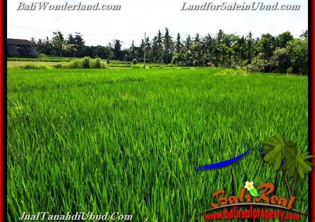 Beautiful UBUD BALI 3,900 m2 LAND FOR SALE TJUB658