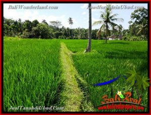 Beautiful UBUD BALI 3,900 m2 LAND FOR SALE TJUB658