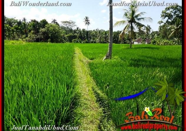 Beautiful UBUD BALI 3,900 m2 LAND FOR SALE TJUB658