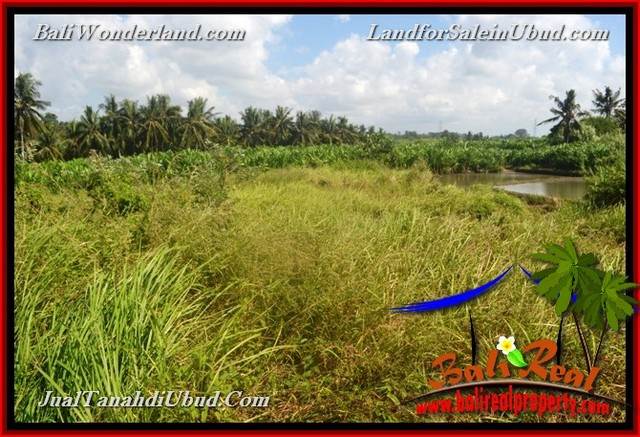 Affordable 400 m2 LAND SALE IN UBUD BALI TJUB659