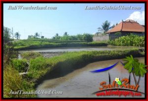 Affordable 400 m2 LAND SALE IN UBUD BALI TJUB659