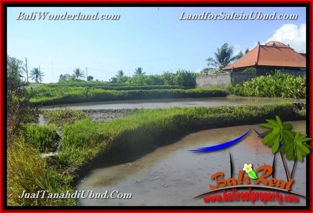 Affordable 400 m2 LAND SALE IN UBUD BALI TJUB659