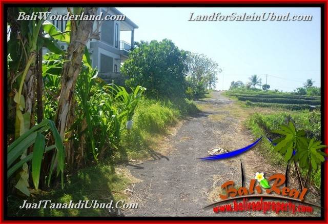 Affordable 400 m2 LAND SALE IN UBUD BALI TJUB659