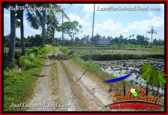 FOR SALE Exotic 1,200 m2 LAND IN UBUD BALI TJUB663