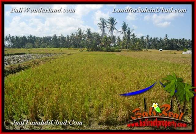 FOR SALE Exotic 1,200 m2 LAND IN UBUD BALI TJUB663