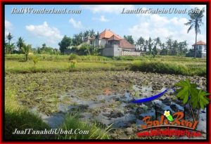 FOR SALE Exotic 1,200 m2 LAND IN UBUD BALI TJUB663