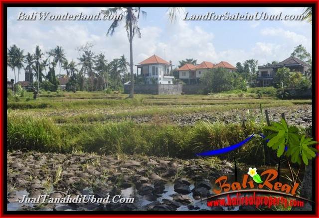 FOR SALE Exotic 1,200 m2 LAND IN UBUD BALI TJUB663