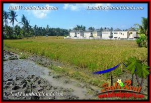 FOR SALE Exotic 1,200 m2 LAND IN UBUD BALI TJUB663