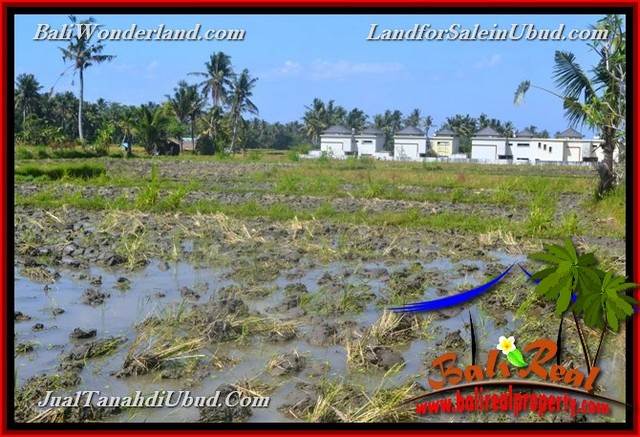 Affordable LAND SALE IN Sentral Ubud BALI TJUB664