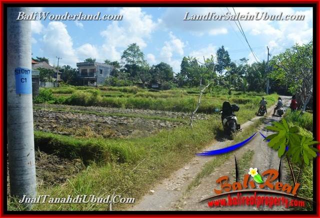 Affordable LAND SALE IN Sentral Ubud BALI TJUB664