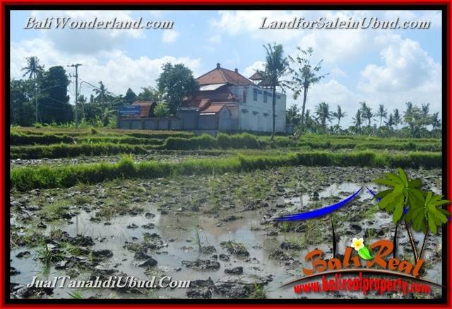 Affordable LAND SALE IN Sentral Ubud BALI TJUB664