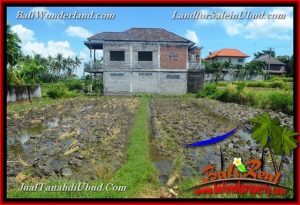 Affordable LAND SALE IN Sentral Ubud BALI TJUB664