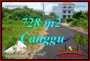 Magnificent 728 m2 LAND IN CANGGU BRAWA FOR SALE TJCG222