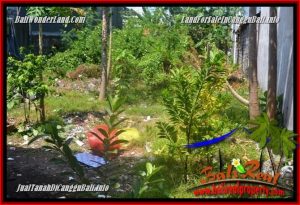 FOR SALE Exotic LAND IN CANGGU BRAWA TJCG224