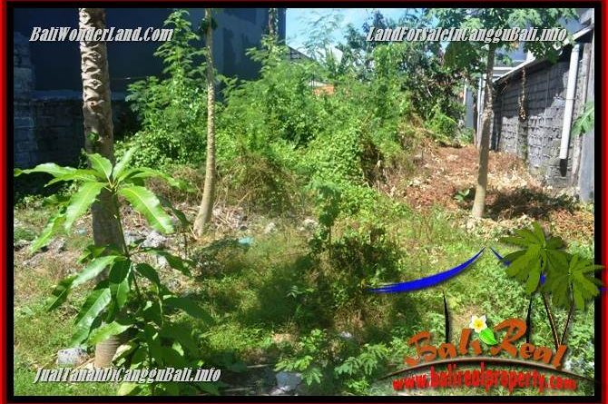 FOR SALE Exotic LAND IN CANGGU BRAWA TJCG224