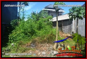 Magnificent LAND FOR SALE IN CANGGU BRAWA BALI TJCG224