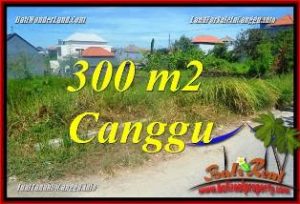 Exotic PROPERTY 300 m2 LAND FOR SALE IN CANGGU BRAWA TJCG225