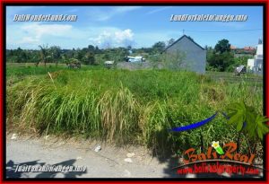 FOR SALE Magnificent PROPERTY LAND IN CANGGU TJCG225