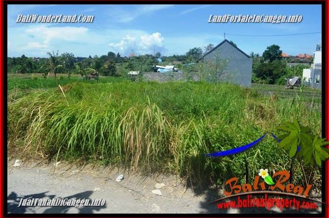 FOR SALE Magnificent PROPERTY LAND IN CANGGU TJCG225