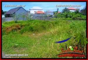 FOR SALE Magnificent PROPERTY LAND IN CANGGU TJCG225