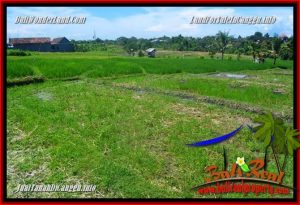 FOR SALE Magnificent PROPERTY LAND IN CANGGU TJCG225