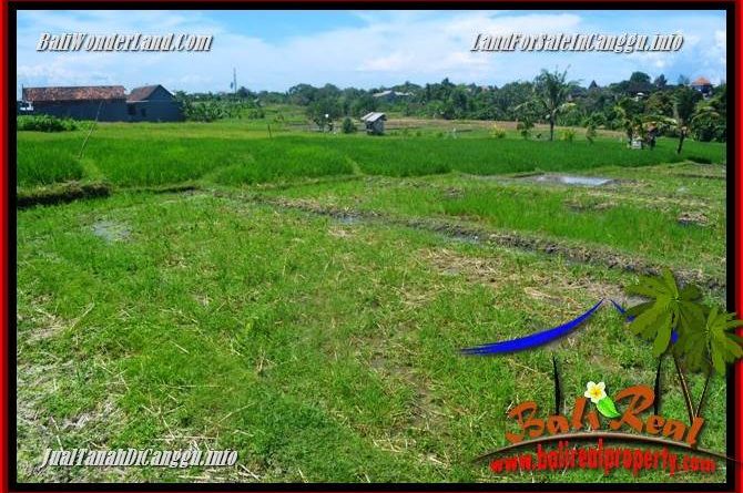 FOR SALE Magnificent PROPERTY LAND IN CANGGU TJCG225