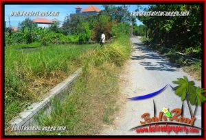 FOR SALE Magnificent PROPERTY LAND IN CANGGU TJCG225