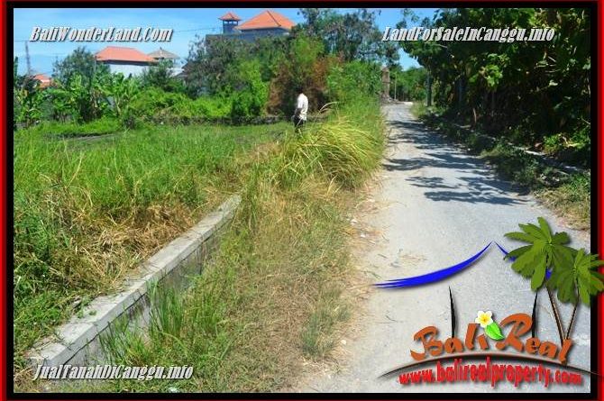 FOR SALE Magnificent PROPERTY LAND IN CANGGU TJCG225