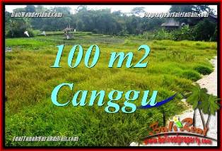 100 m2 LAND IN CANGGU BALI FOR SALE TJCG227