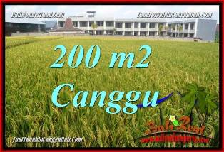 Beautiful PROPERTY 200 m2 LAND FOR SALE IN CANGGU BRAWA BALI TJCG229
