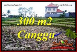 LAND FOR SALE IN CANGGU PERERENAN BALI TJCG230