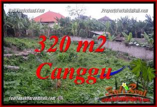 Magnificent 320 m2 LAND FOR SALE IN CANGGU TJCG231